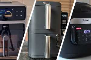 The best air fryers