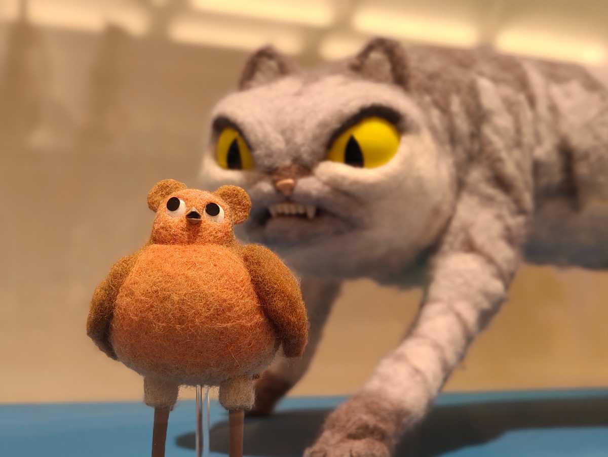 Nothing Phone 4a camera sample Robin Robin