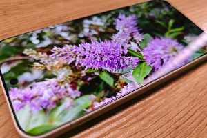 The OnePlus 16's display could crush the competition - including the Galaxy S26 Ultra