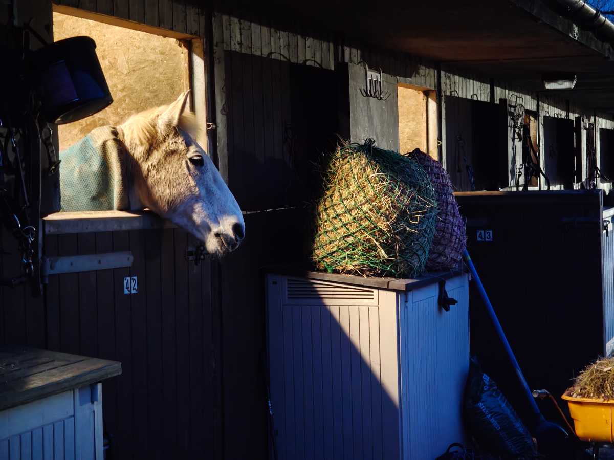 Oppo Find N6 Test Photo 1