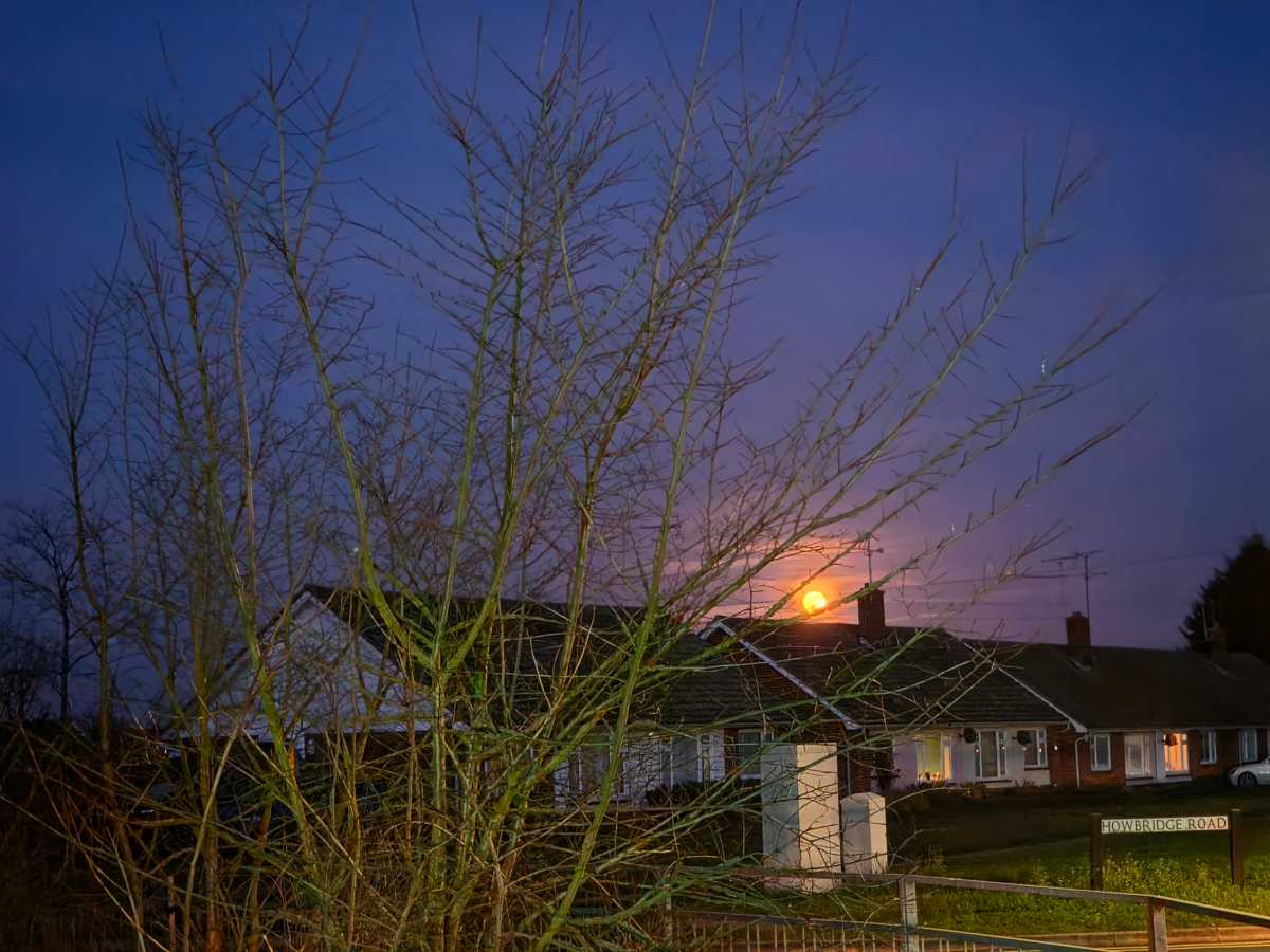 Samsung Galaxy S26 Low light moon and house