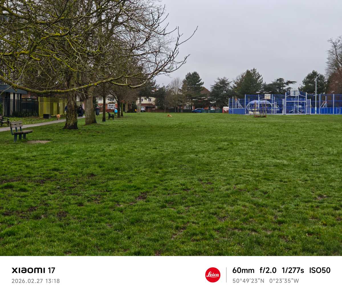 Xiaomi 17 camera sample dog zoom 2.6x