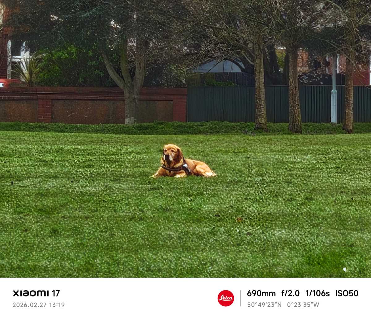 Xiaomi 17 camera sample dog zoom 30x