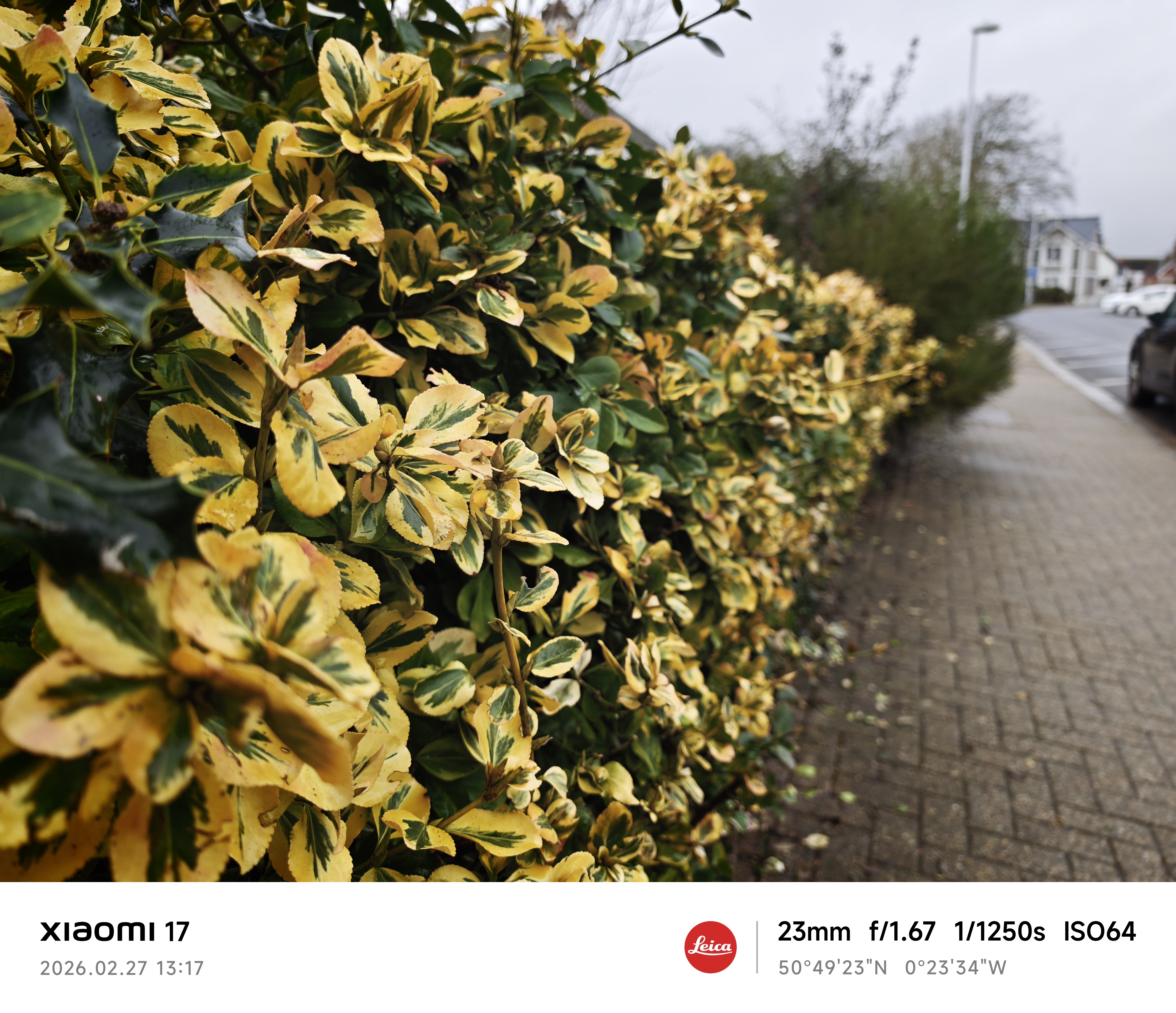 Xiaomi 17 camera sample Leica Authentic