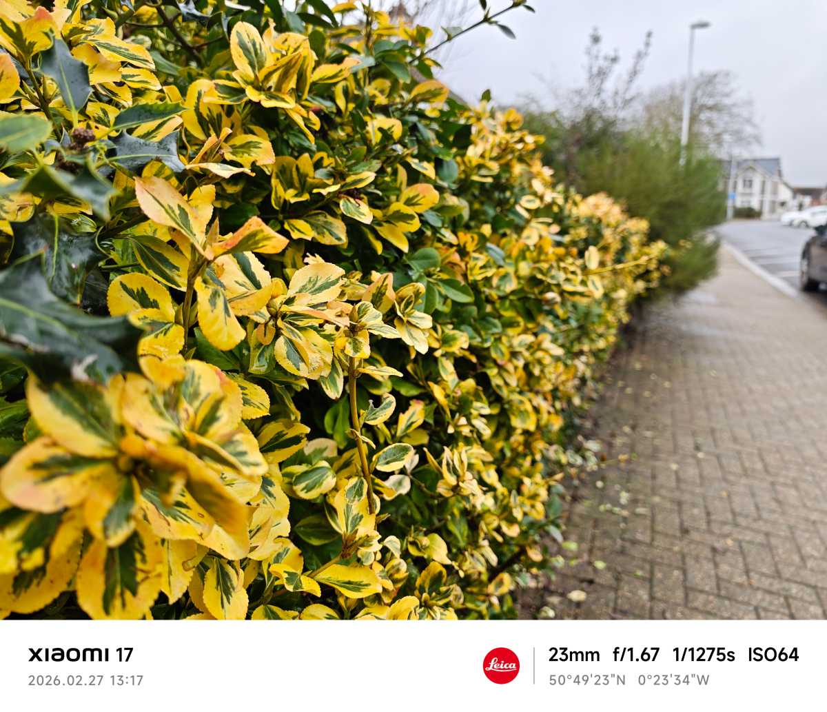 Xiaomi 17 camera sample Leica Vivid